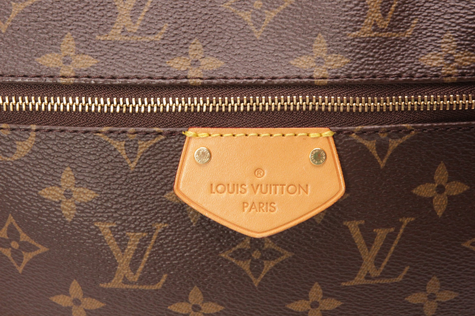 Louis Vuitton Lena MM Monogram Shopper