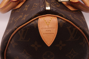 Louis Vuitton Speedy 30 Monogram