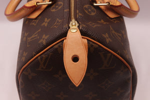 Louis Vuitton Speedy 30 Monogram