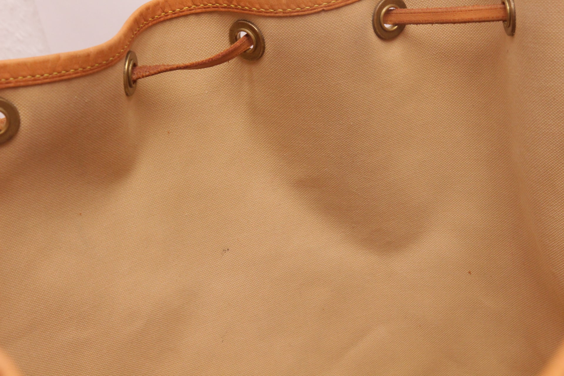 Louis Vuitton Sac Noe GM Azur