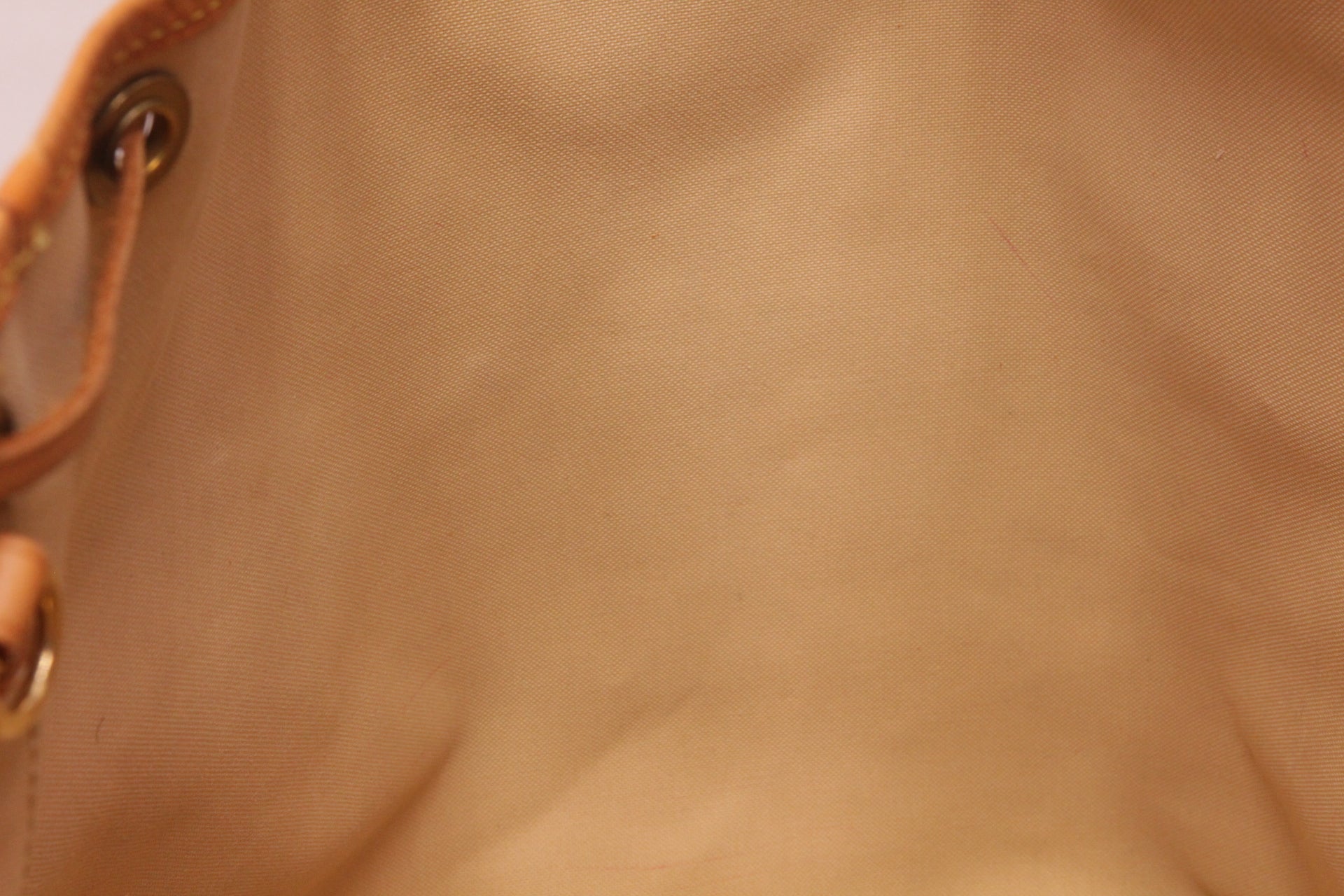 Louis Vuitton Sac Noe GM Azur