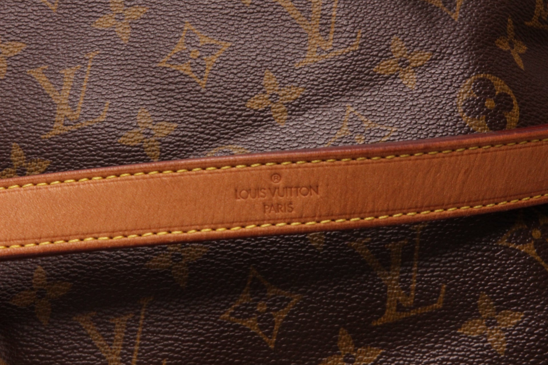 Louis Vuitton Sac Noe GM Monogram