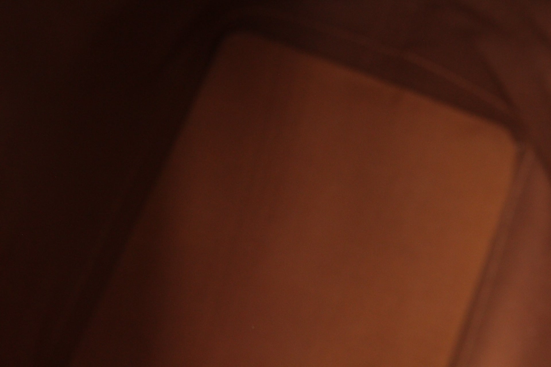 Louis Vuitton Sac Noe GM Monogram